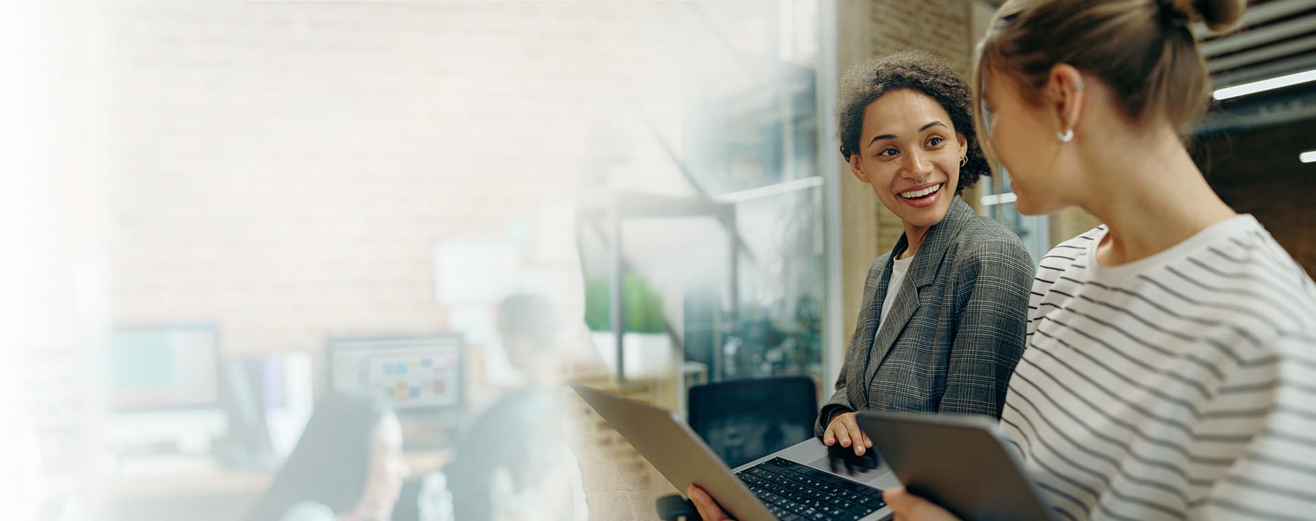 GrowBot team collaborating on automated trading strategies